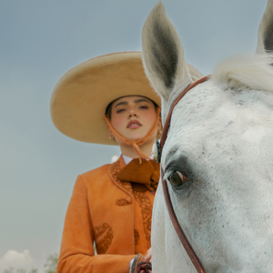 四川妇女bbbb的创业精神
